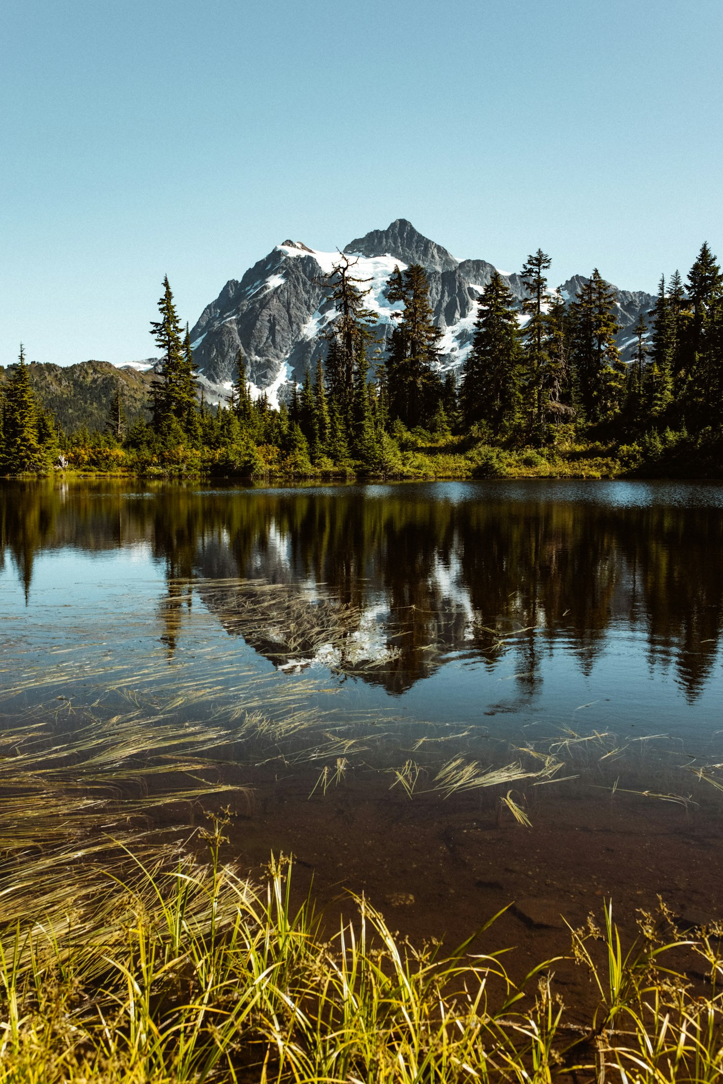 Top 5 Reasons to Trek the Rwenzori Mountains