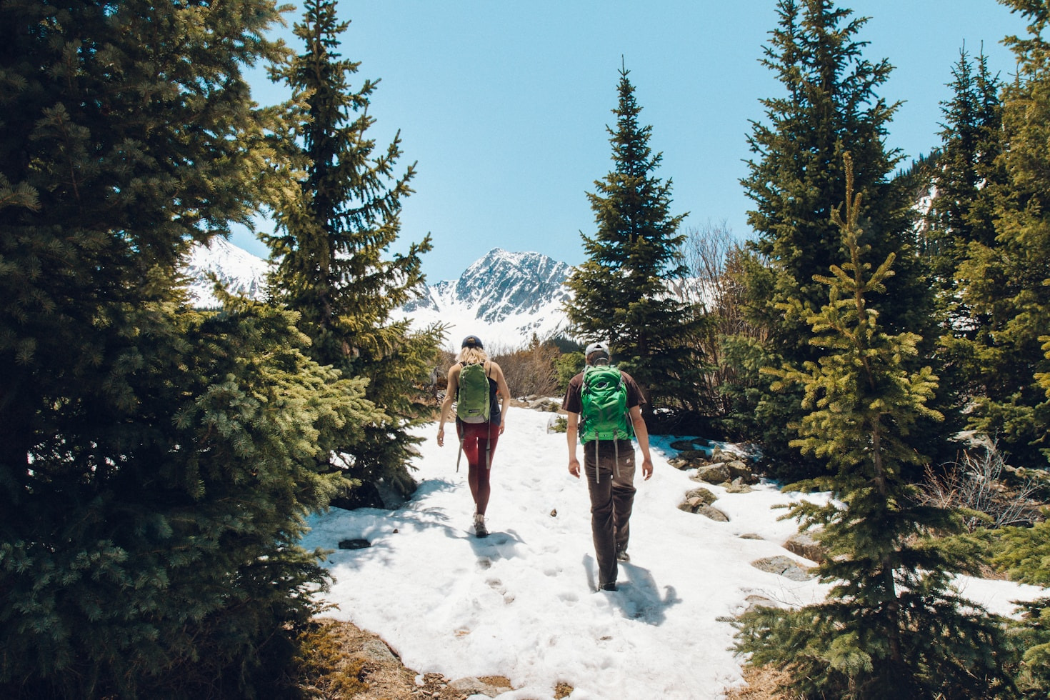 The Ultimate Trekking Routes in the Rwenzori Range