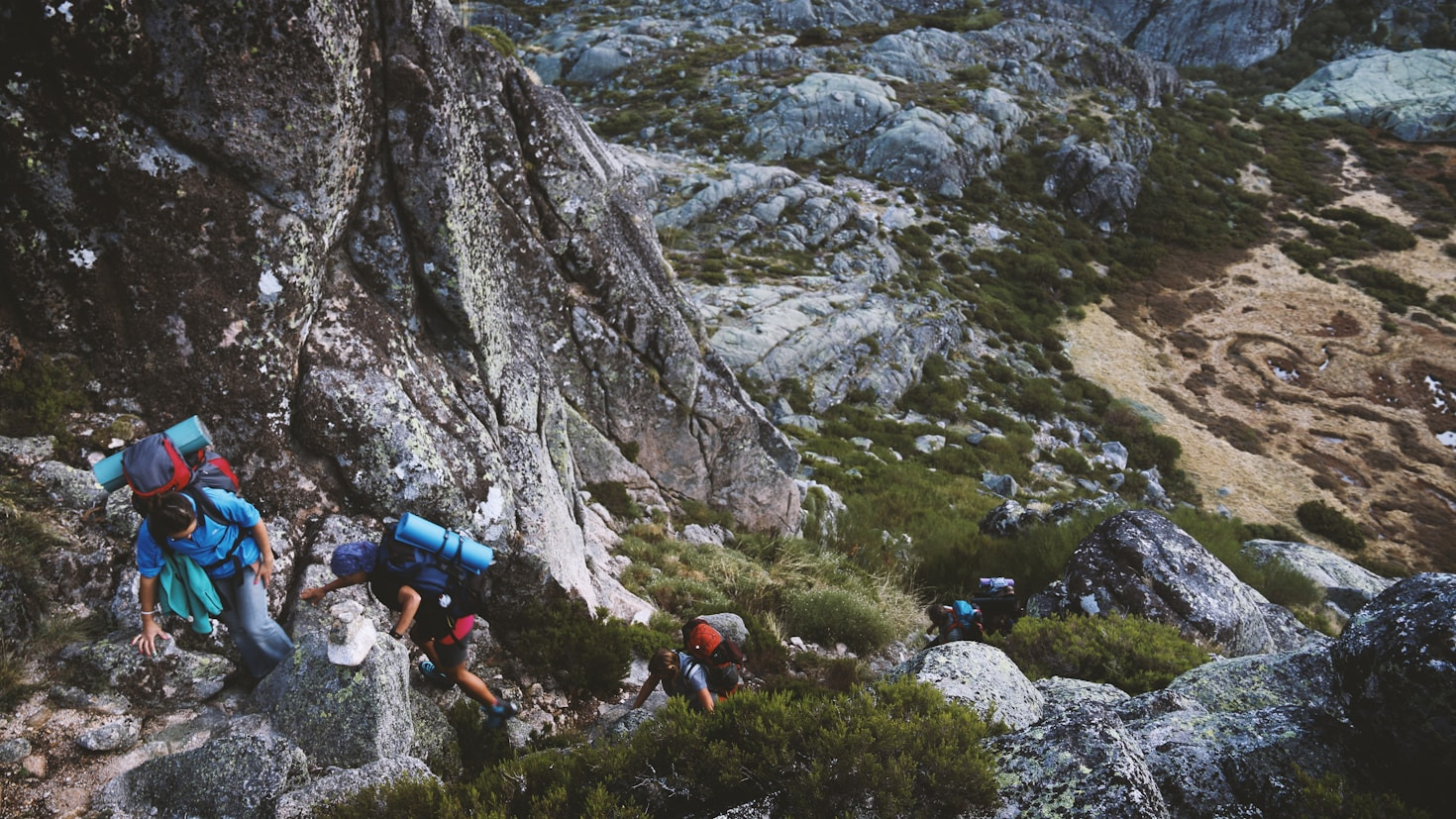 Nature Enthusiasts’ Paradise: The Rwenzori Mountains